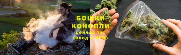 молекула духа Вяземский
