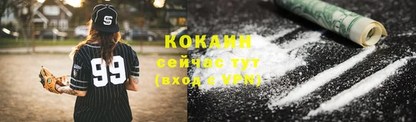 стаф Горняк