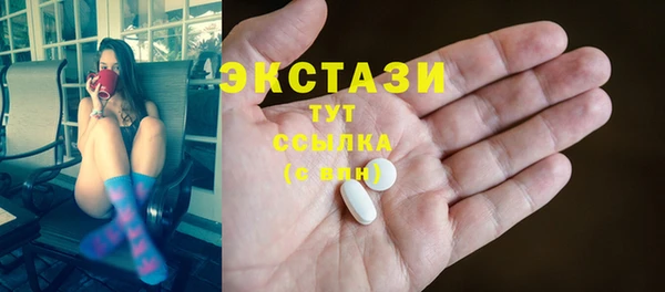 молекула духа Вяземский