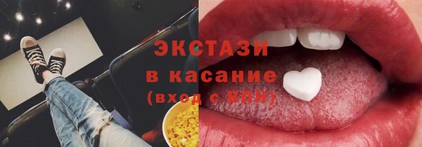 молекула духа Вяземский