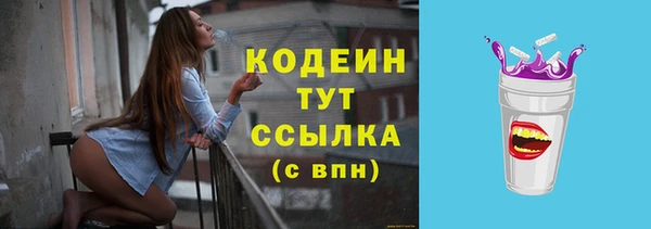 стаф Горняк