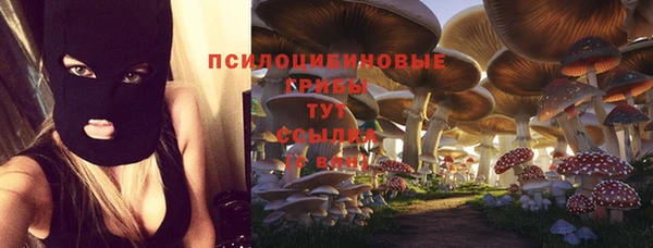мет Горно-Алтайск
