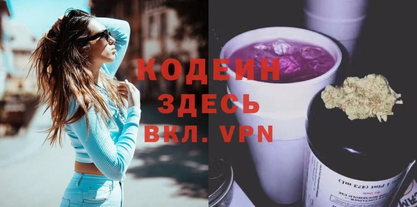 молекула духа Вяземский